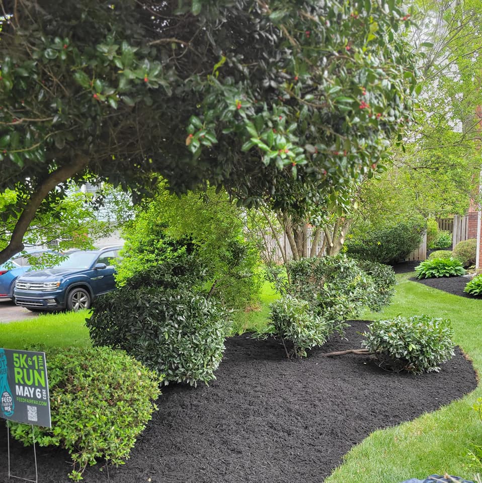 mulched bed with shrubbery